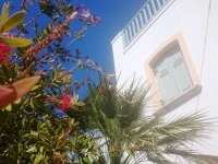 Amazones Sun Studios 