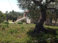 Anaskelo House 