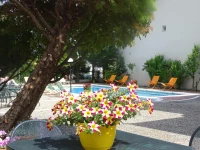 Olympus Hotel Villa Drosos 