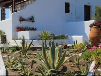 Studios Fivos 
