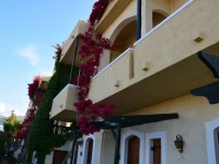 Malia Studios Hotel-Apartments 