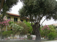 Studio Popi