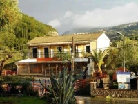 Anemona Studios 