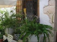 Studios Koukouros
