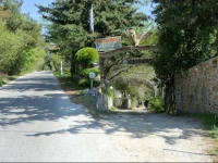 Siropoulos 
