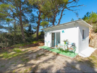 Small Forest House