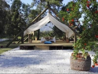 Hane 229 Surfers Lodge 