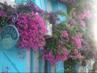 Bedirhan Konak Otel 