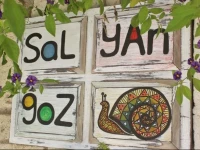 Salyangoz 