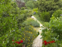 Bagbadem Holiday Farm 