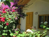 Blue Paradise Pension 3*