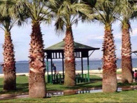 Yalova