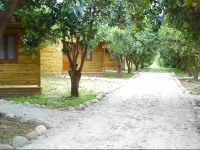 Yesil Bahce Bungalow - Ahsap Evler 