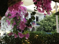 Leamira Hotel Kas 