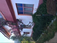 Alis House 