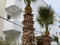 Villa Apart 