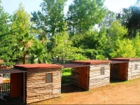 Medusa Camping 
