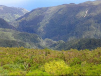 Casacura