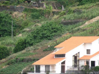 Ginas Village