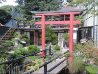 Zen Museu do Bonsai