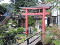 Zen Museu do Bonsai 