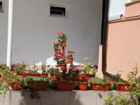 Pensiunea Casa Rusu 