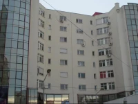Central House Apartments Bacau 