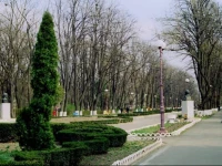 Ion Cernic Studios 