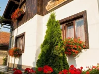 Casa Tohaneana 