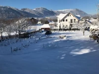 Pensiunea Cerbul Carpatin 