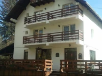 Vila Brandusa 