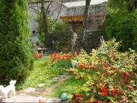 Doly House 