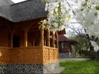 Casa de vacanta Padis 