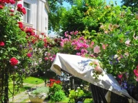Residenza Dutzu-Boutique Hotel 