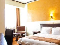 International Bucharest City Centre Hotel 