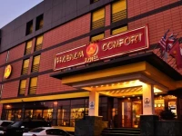 Phoenicia Comfort 