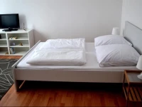 Apartment Bucharest City 