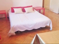Apartment Dacilor 