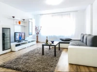 Burebista Apartment 