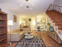 Duplex Sala Palatului 