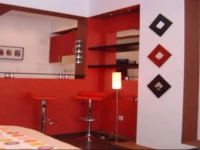 Studio Cismigiu Park 