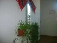 Casa Nobilis 