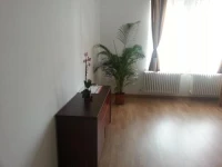 Hostel Andrei 