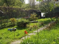 Apartament Desa 