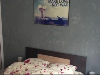 Apartment Oana 