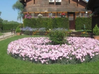 Pension Casa Cu Flori 