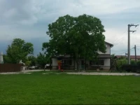 Bunica Maria 
