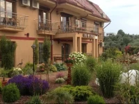 Casa Leului 
