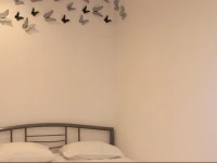 Hilcon Family Studios 