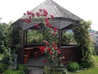 Pensiunea Ambiance 3*